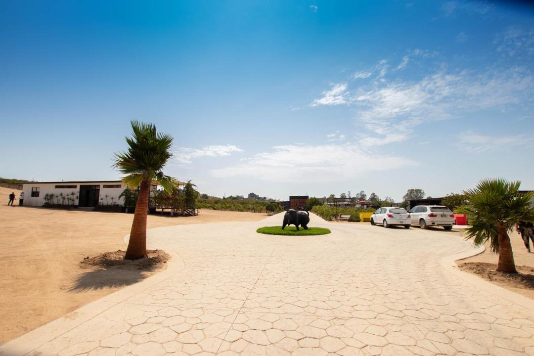 Photo of Others in Valle de Guadalupe