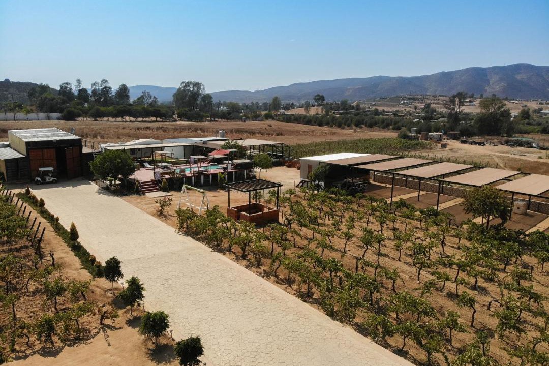 Photo of Others in Valle de Guadalupe