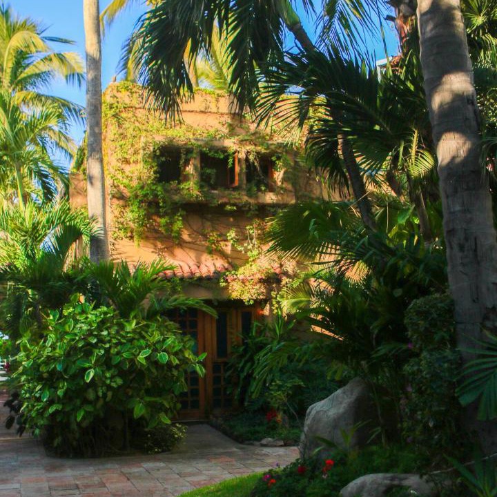 Photo of Others in Mazatlan