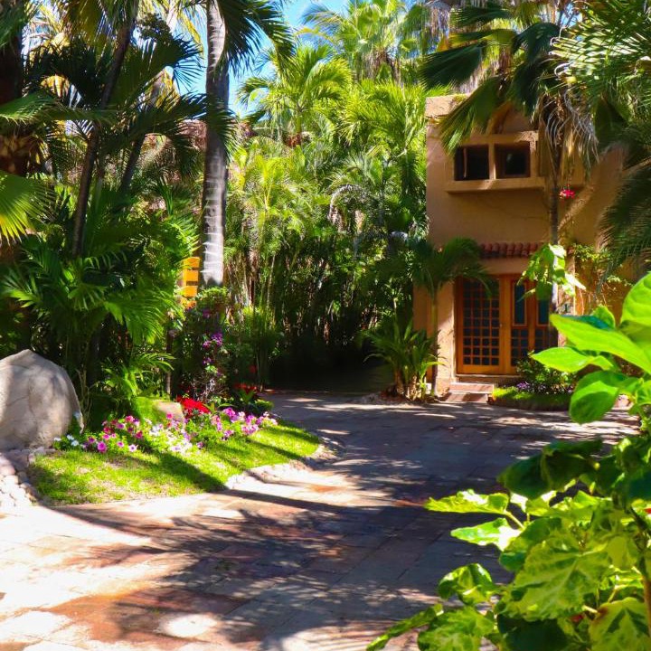 Photo of Others in Mazatlan
