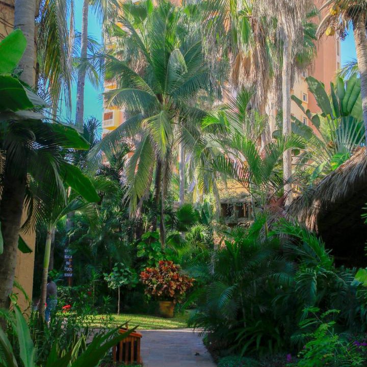 Photo of Others in Mazatlan