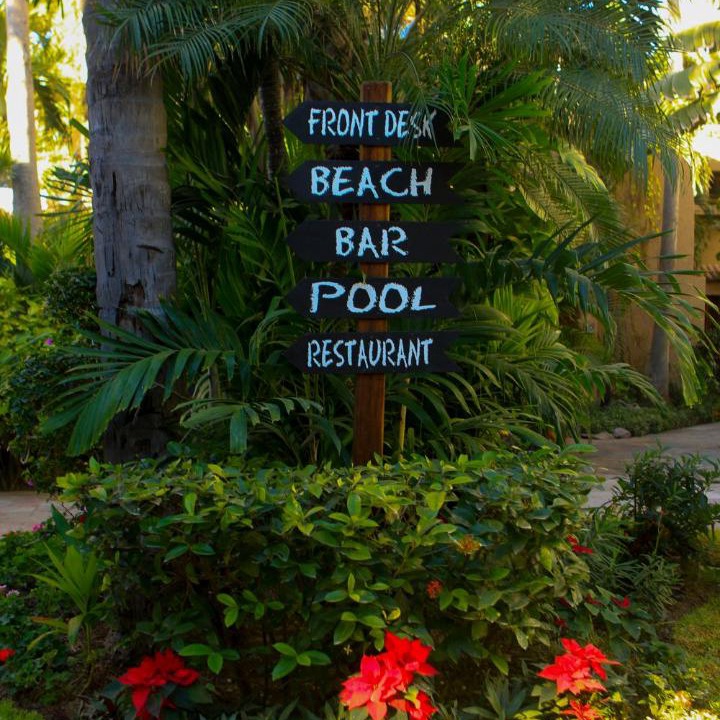 Photo of Others in Mazatlan