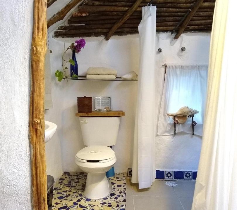 Photo of Others in Puerto Morelos