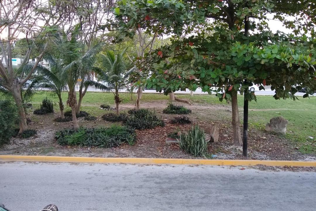 Photo of Outdoor in Puerto Morelos