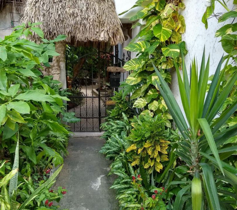 Photo of Others in Puerto Morelos