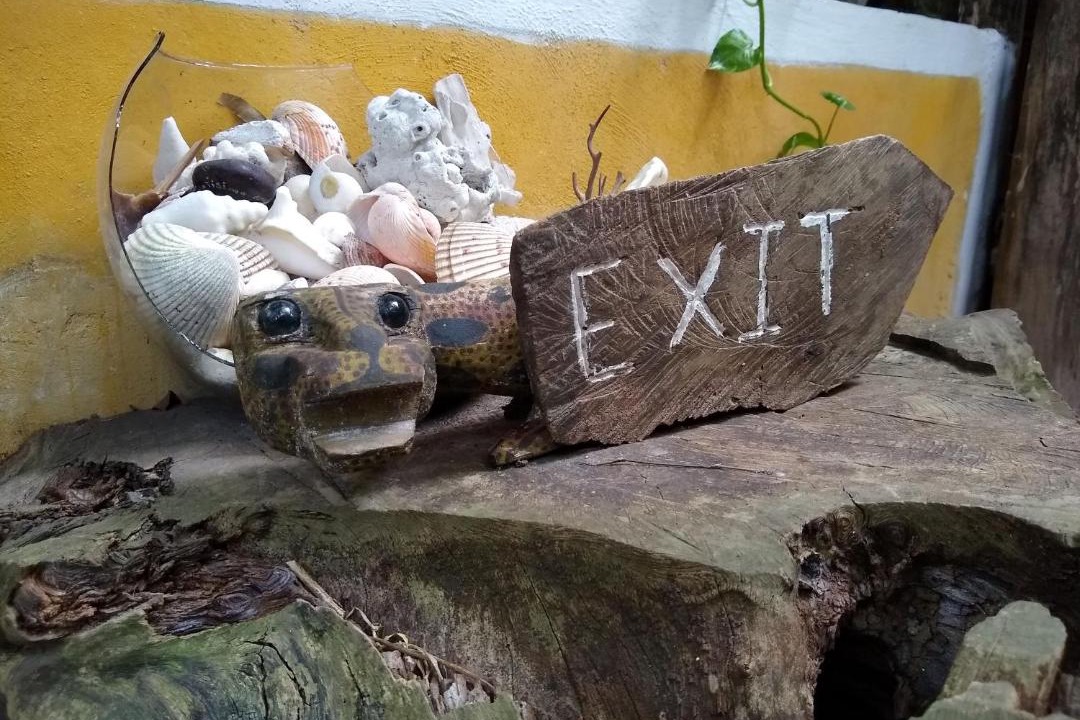 Photo of Others in Puerto Morelos
