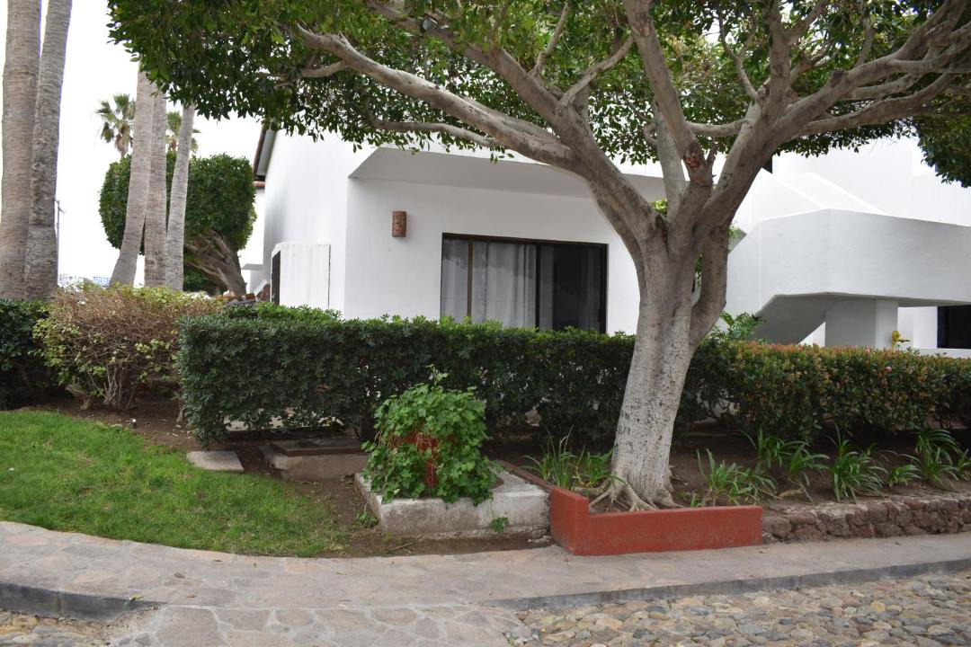 Photo of Others in La Paloma