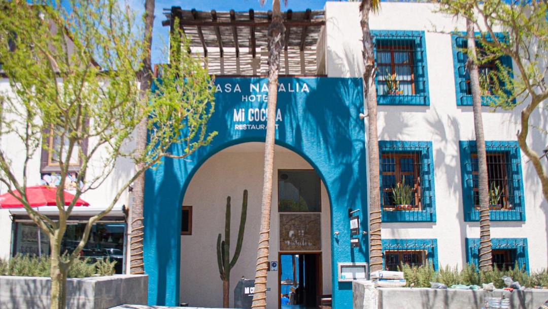 Photo of Others in Downtown San Jose del Cabo