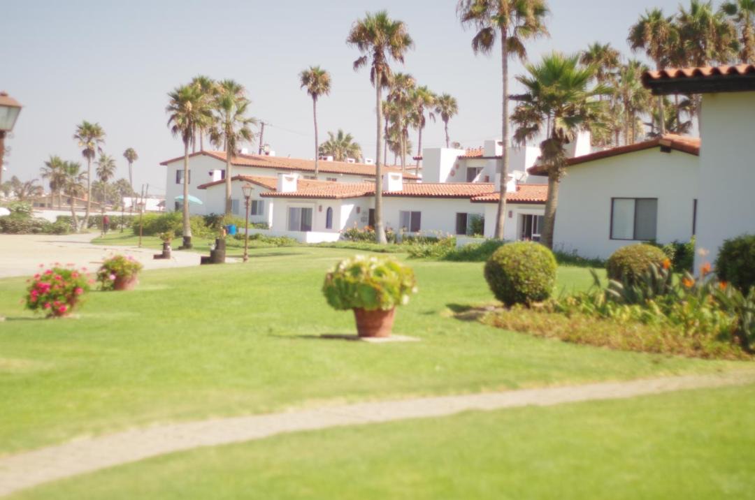 Photo of Others in La Paloma