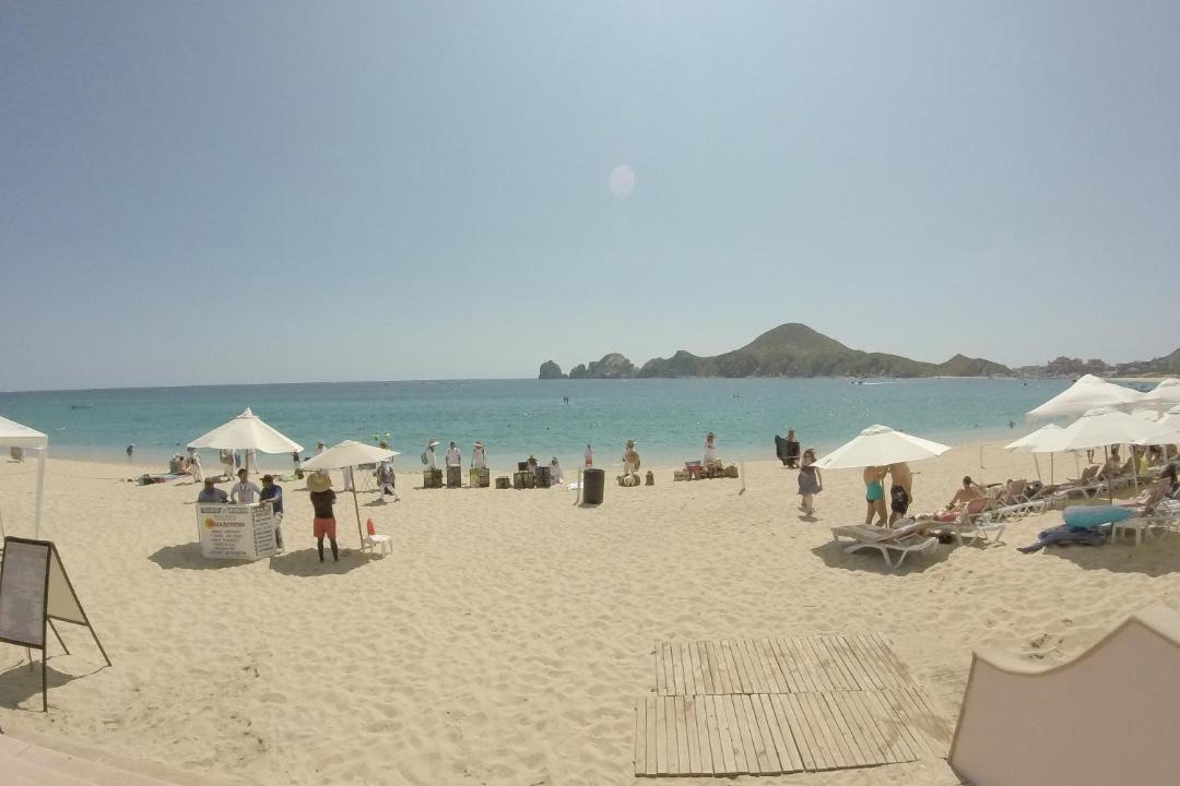 Photo of Others in El Medano Ejidal