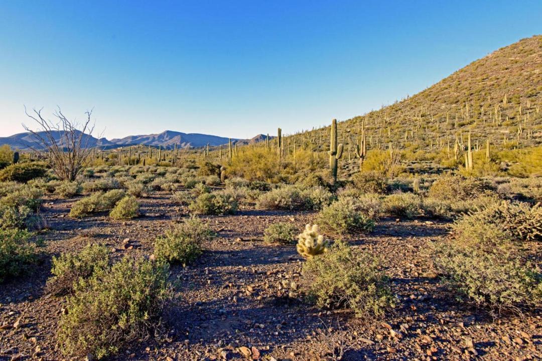 Photo of Outdoor in Carefree