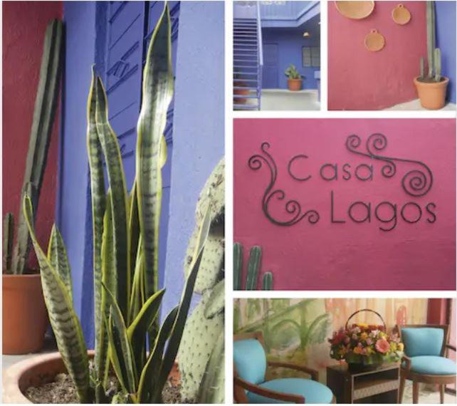 Photo of Others in Lagos de Moreno
