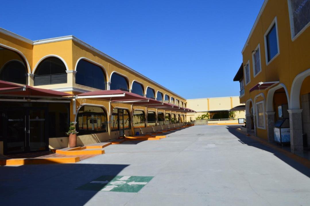 Photo of Others in Torreon