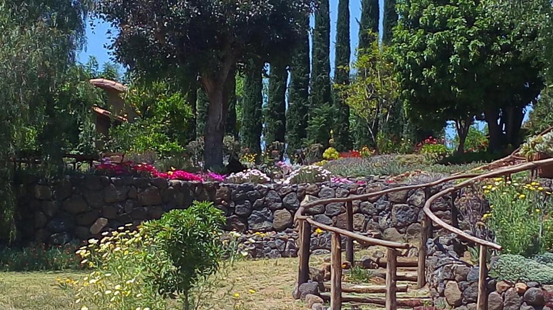 Photo of Others in San Antonio de las Minas