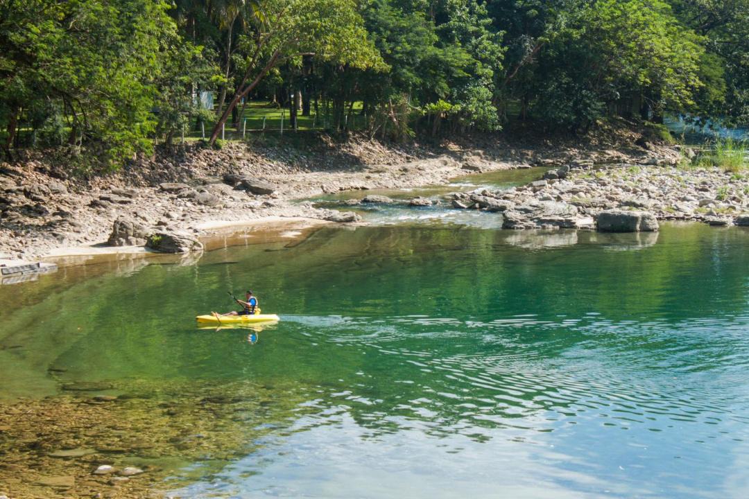 Photo of Others in Palenque