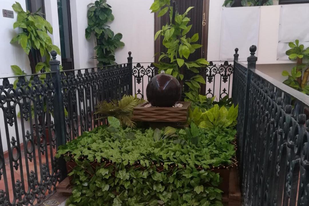 Photo of Others in Centro Historico