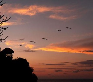 Banyan Tree Cabo Marques 