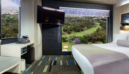 Room, 1 King Bed