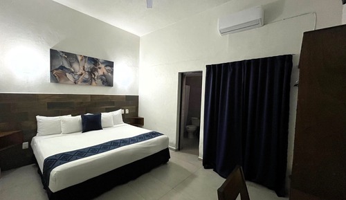 Executive Room, 1 King Bed