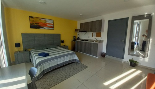 Junior Studio Suite, Non Smoking
