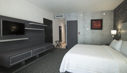 Standard Room, 1 King Bed, Accessible (Roll-In Shower)