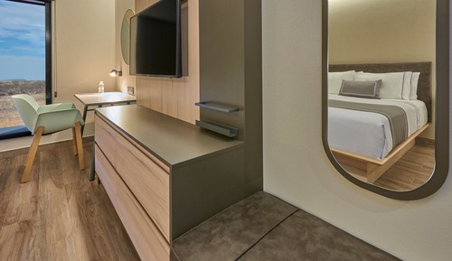 Room, 1 King Bed