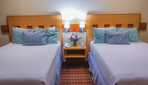 Standard Room, 2 Double Beds