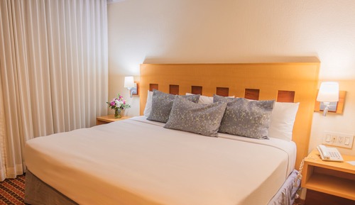 Standard Room, 1 King Bed