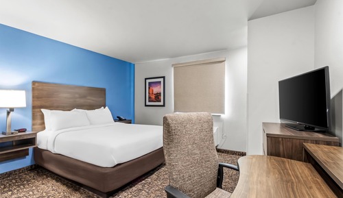 Room, 1 Queen Bed, Mobility Accessible (Hearing Impaired, Roll In Shower)