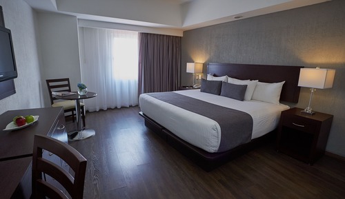 Standard Double Room, 1 King Bed