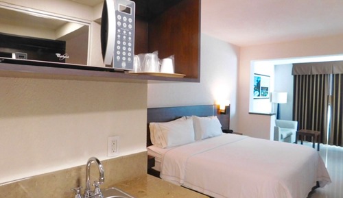 Suite, 1 King Bed