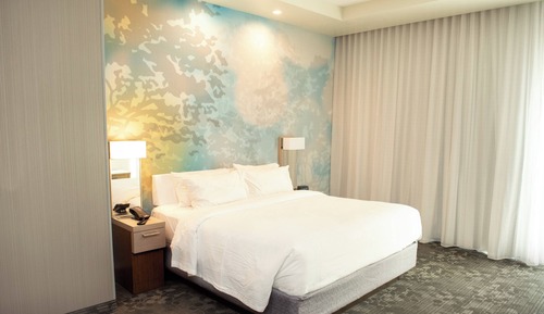 Suite, 1 King Bed with Sofa bed