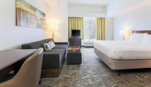 Suite, 1 King Bed with Sofa bed (Hearing Accessible)