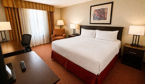 Standard Room, 1 King Bed