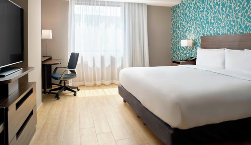 Room, 1 King Bed