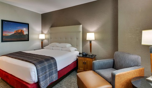 Room, 1 King Bed, Accessible (Roll in Shower)