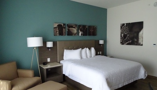 Room, 1 King Bed, Non Smoking, Refrigerator