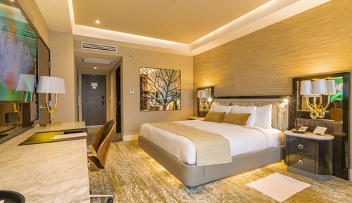 Premium Room, 1 King Bed, Pool View