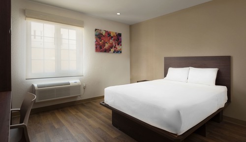 Suite, 1 Queen Bed