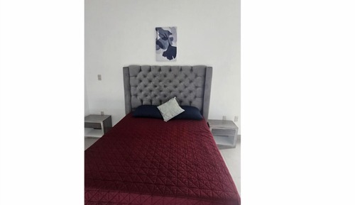 Comfort Suite