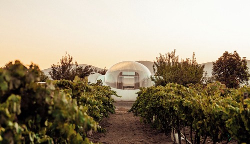 Bubble Room