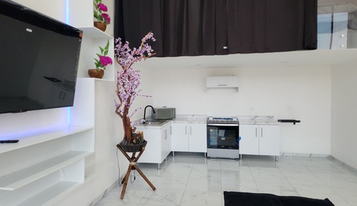 Deluxe Apartment, City View