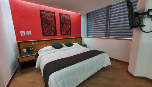 Junior Room, 1 King Bed