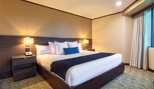 Standard Room, 1 King Bed