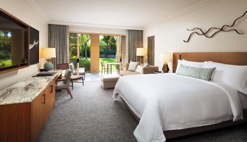Room, 1 King Bed, Mountain View