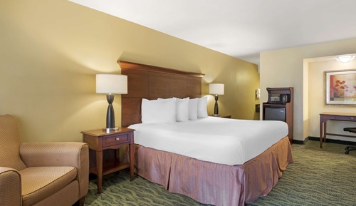 Suite, 1 King Bed, Non Smoking, Kitchenette (with Sofabed)