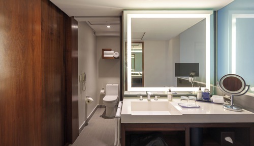 Classic Room, 1 King Bed, Club Lounge Access (Chapultepec Park View)