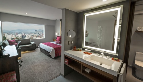 Classic Room, 1 King Bed (Polanco View)