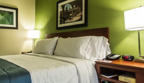 Standard Room, 1 King Bed, Accessible