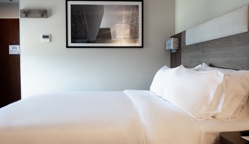Suite, 1 King Bed